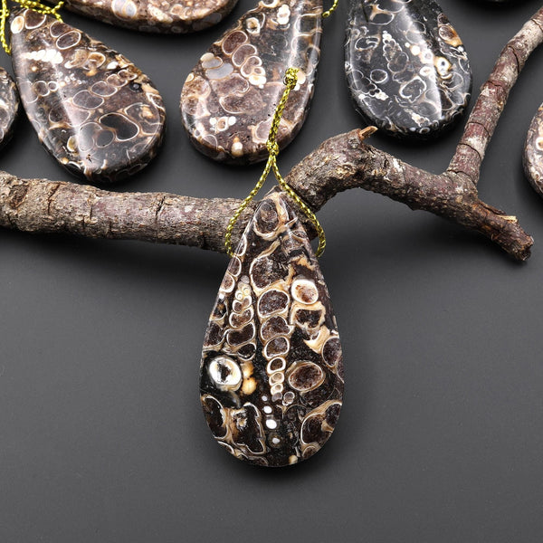 Natural Turritella Agate Fossil Side Drilled Teardrop Pendant from Wyoming USA