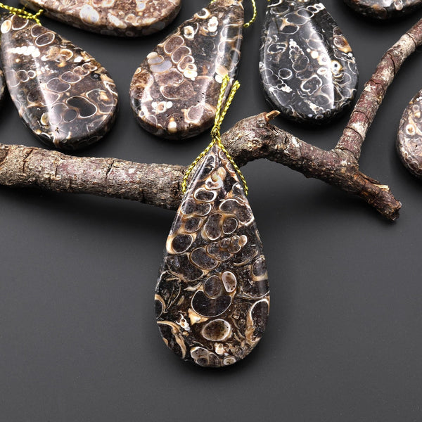 Natural Turritella Agate Fossil Side Drilled Teardrop Pendant from Wyoming USA A3