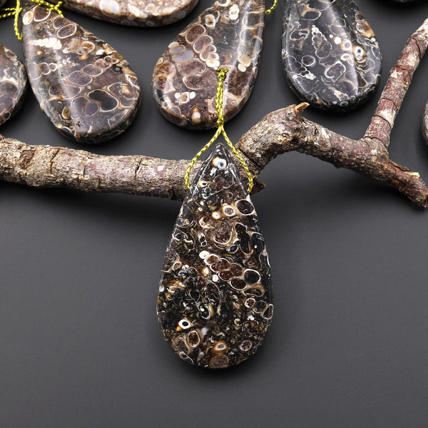 Natural Turritella Agate Fossil Side Drilled Teardrop Pendant from Wyoming USA A4