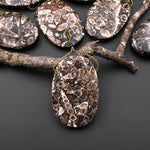 Natural Turritella Agate Fossil Side Drilled Oval Pendant from Wyoming USA