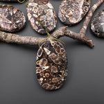 Natural Turritella Agate Fossil Side Drilled Oval Pendant from Wyoming USA