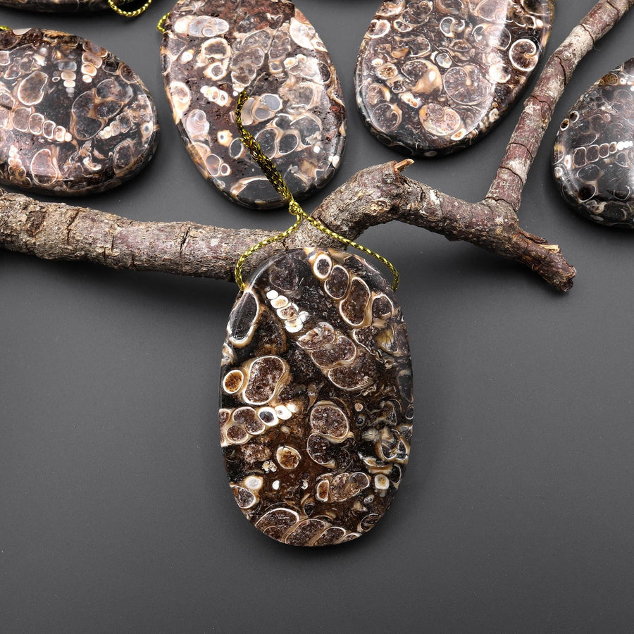 Natural Turritella Agate Fossil Side Drilled Oval Pendant from Wyoming USA