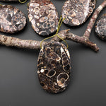 Natural Turritella Agate Fossil Side Drilled Oval Pendant from Wyoming USA