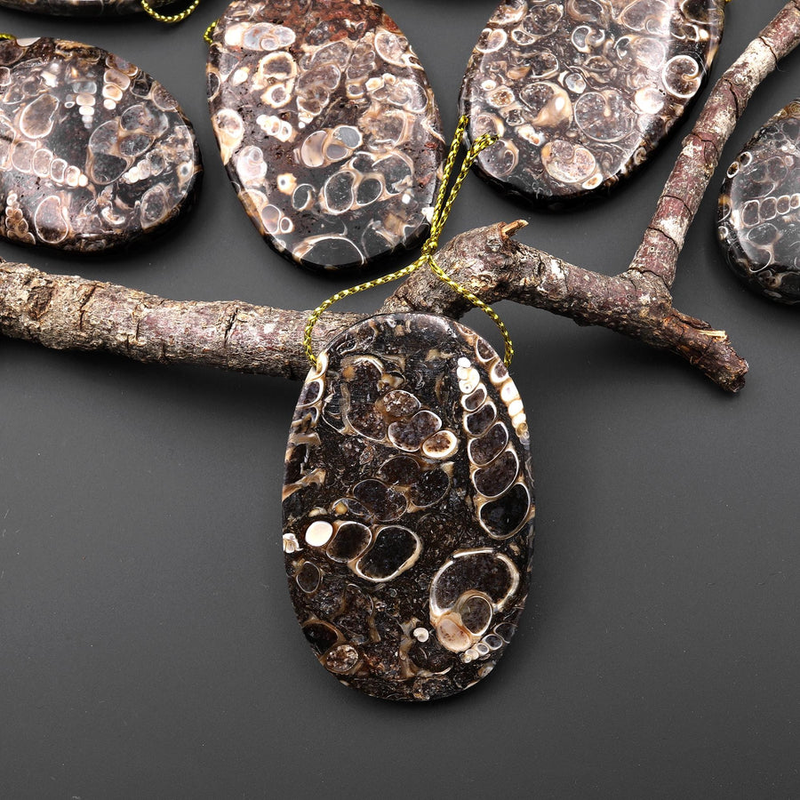Natural Turritella Agate Fossil Side Drilled Oval Pendant from Wyoming USA