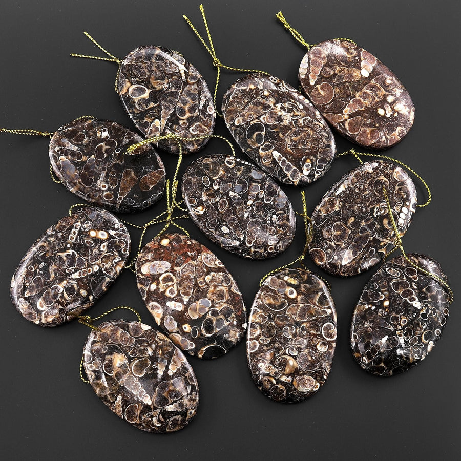 Natural Turritella Agate Fossil Side Drilled Oval Pendant from Wyoming USA