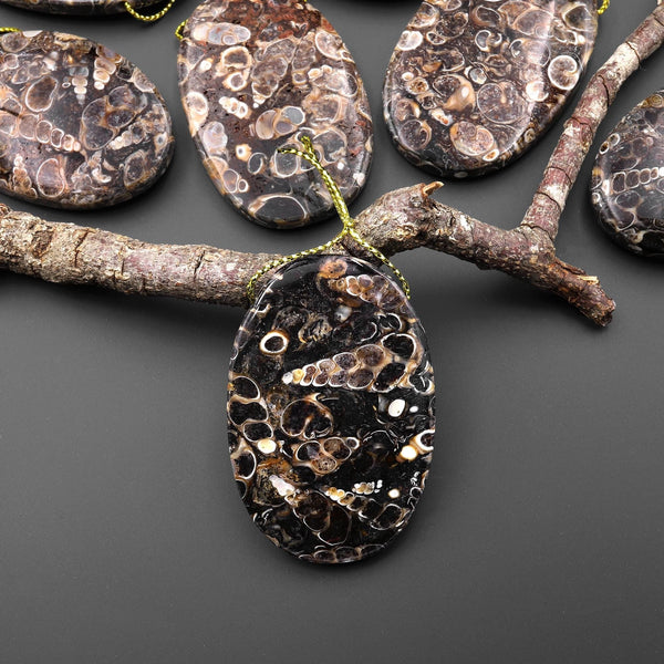 Natural Turritella Agate Fossil Side Drilled Oval Pendant from Wyoming USA