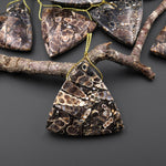 Natural Turritella Agate Fossil Side Drilled Triangle Pendant from Wyoming USA