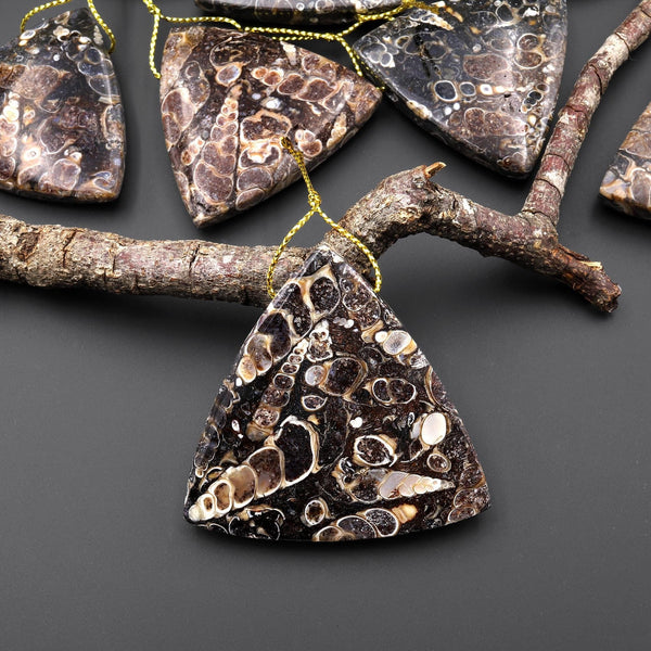 Natural Turritella Agate Fossil Side Drilled Triangle Pendant from Wyoming USA