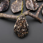Natural Turritella Agate Fossil Side Drilled Organic Leaf Shape Pendant from Wyoming USA