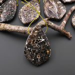 Natural Turritella Agate Fossil Side Drilled Organic Leaf Shape Pendant from Wyoming USA