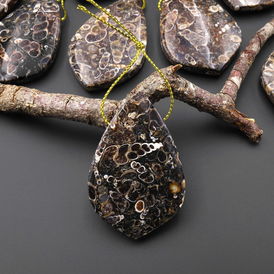 Natural Turritella Agate Fossil Side Drilled Organic Leaf Shape Pendant from Wyoming USA