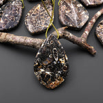 Natural Turritella Agate Fossil Side Drilled Organic Leaf Shape Pendant from Wyoming USA