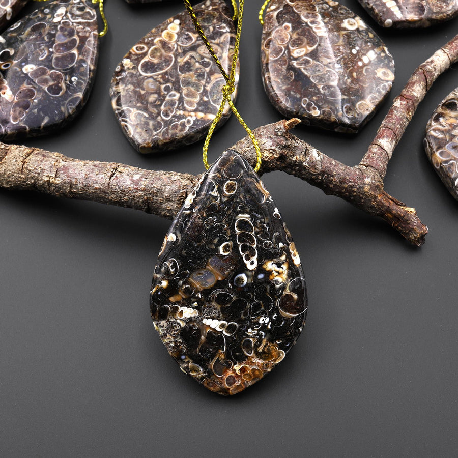 Natural Turritella Agate Fossil Side Drilled Organic Leaf Shape Pendant from Wyoming USA