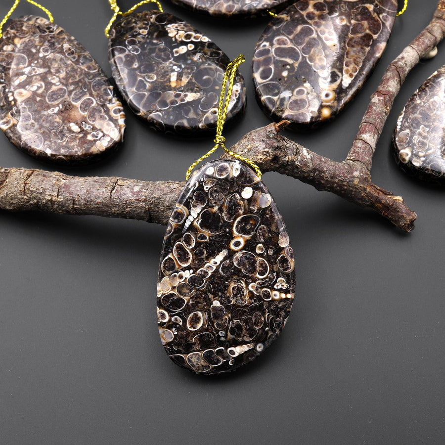 Natural Turritella Agate Fossil Side Drilled Abstract Butterfly Wing Shape Pendant from Wyoming USA