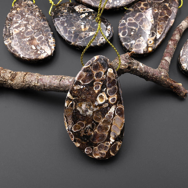 Natural Turritella Agate Fossil Side Drilled Abstract Butterfly Wing Shape Pendant from Wyoming USA