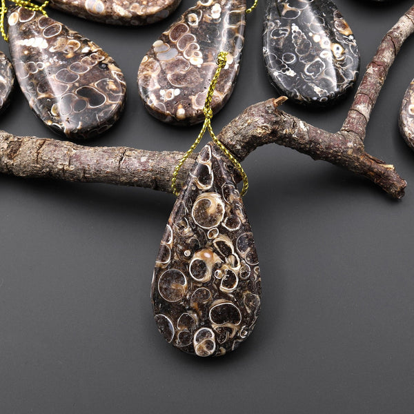 Natural Turritella Agate Fossil Side Drilled Teardrop Pendant from Wyoming USA A5