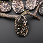 Natural Turritella Agate Fossil Side Drilled Oval Pendant from Wyoming USA