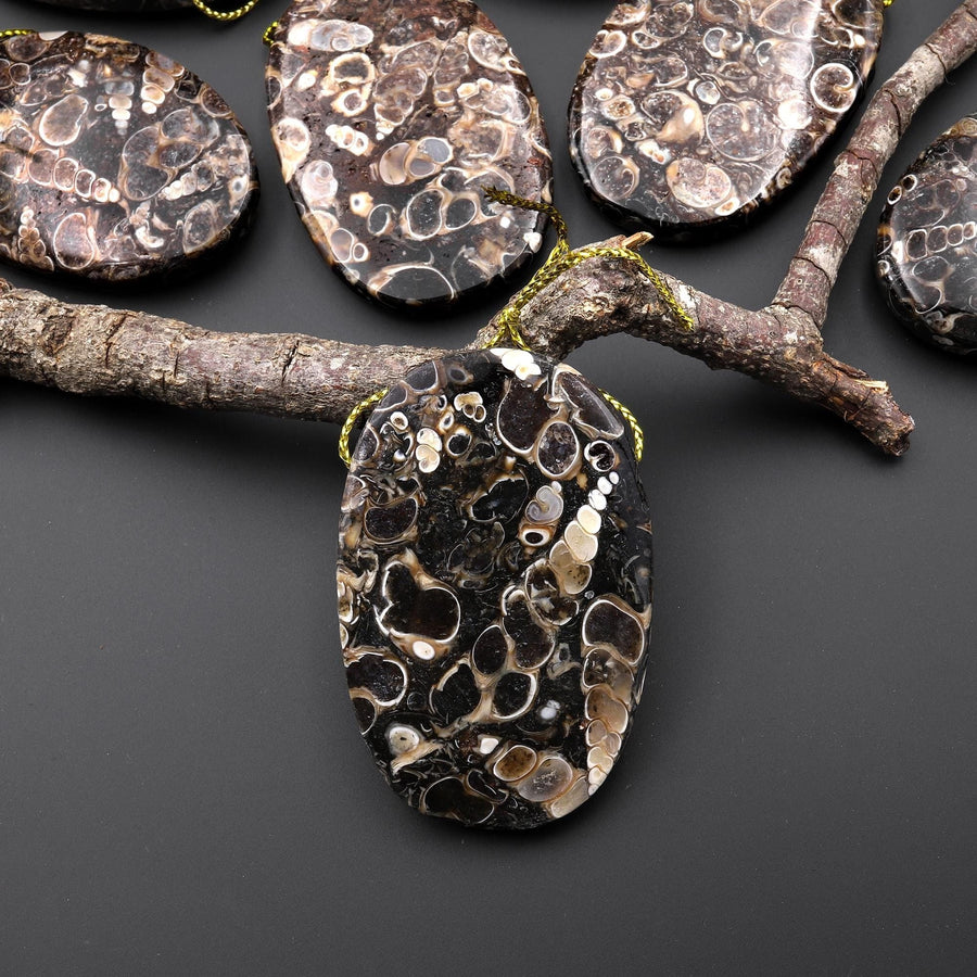 Natural Turritella Agate Fossil Side Drilled Oval Pendant from Wyoming USA