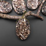 Natural Turritella Agate Fossil Side Drilled Oval Pendant from Wyoming USA