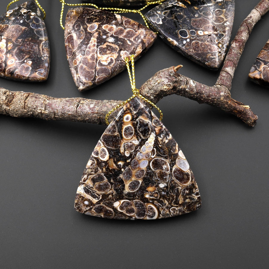 Natural Turritella Agate Fossil Side Drilled Triangle Pendant from Wyoming USA