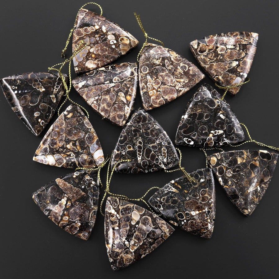 Natural Turritella Agate Fossil Side Drilled Triangle Pendant from Wyoming USA