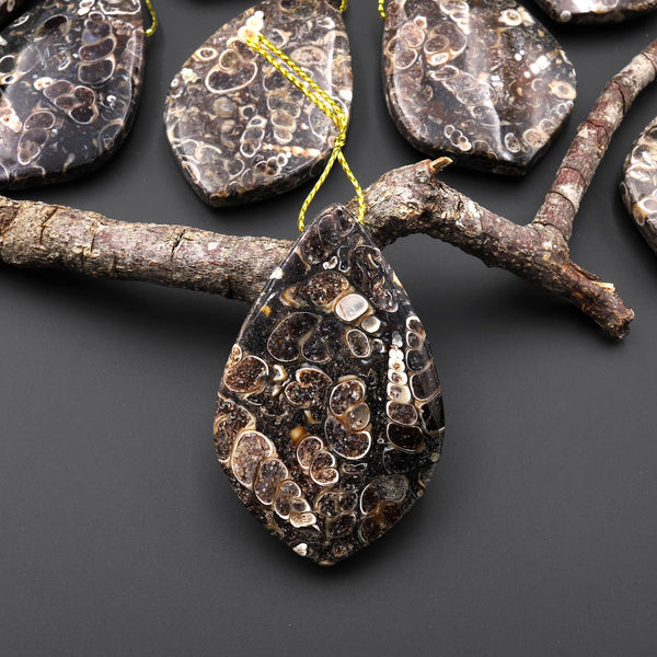 Natural Turritella Agate Fossil Side Drilled Organic Leaf Shape Pendant from Wyoming USA