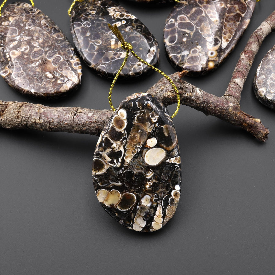 Natural Turritella Agate Fossil Side Drilled Abstract Butterfly Wing Shape Pendant from Wyoming USA