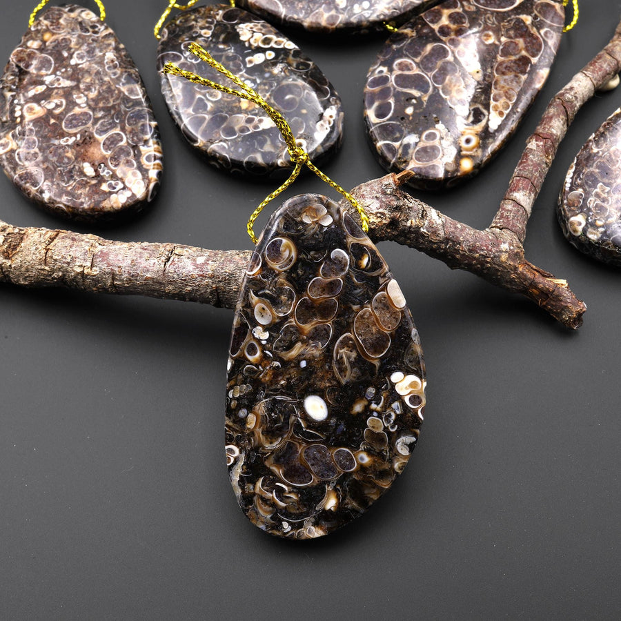 Natural Turritella Agate Fossil Side Drilled Abstract Butterfly Wing Shape Pendant from Wyoming USA