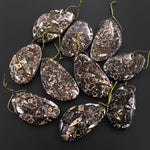 Natural Turritella Agate Fossil Side Drilled Abstract Butterfly Wing Shape Pendant from Wyoming USA