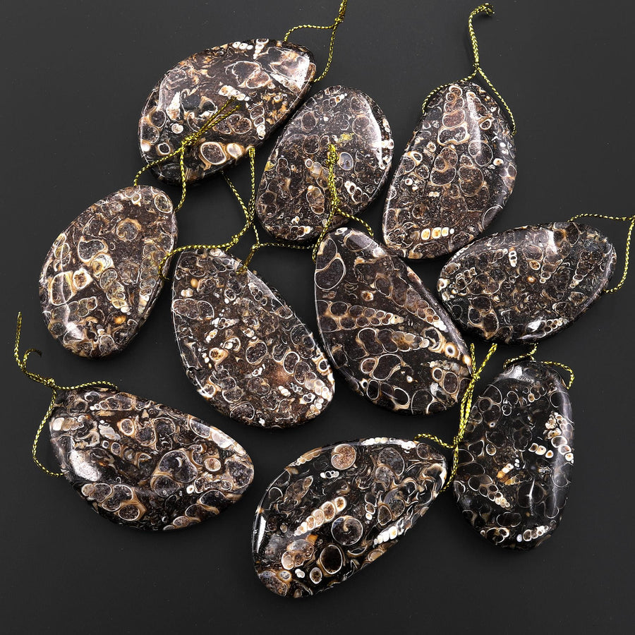 Natural Turritella Agate Fossil Side Drilled Abstract Butterfly Wing Shape Pendant from Wyoming USA