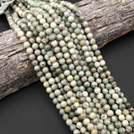 Natural Mint Sage Green Dendritic Fern Jasper 6mm 8mm 10mm Smooth Round Beads 15.5" Strand