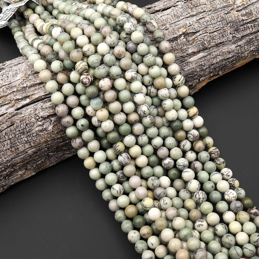 Natural Mint Sage Green Dendritic Fern Jasper 6mm 8mm 10mm Smooth Round Beads 15.5" Strand