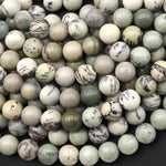 Natural Mint Sage Green Dendritic Fern Jasper 6mm 8mm 10mm Smooth Round Beads 15.5" Strand