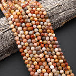 AAA Rare Agatized Natural Fossil Coral Beads Smooth 8mm Round Gemstone 15.5" Strand