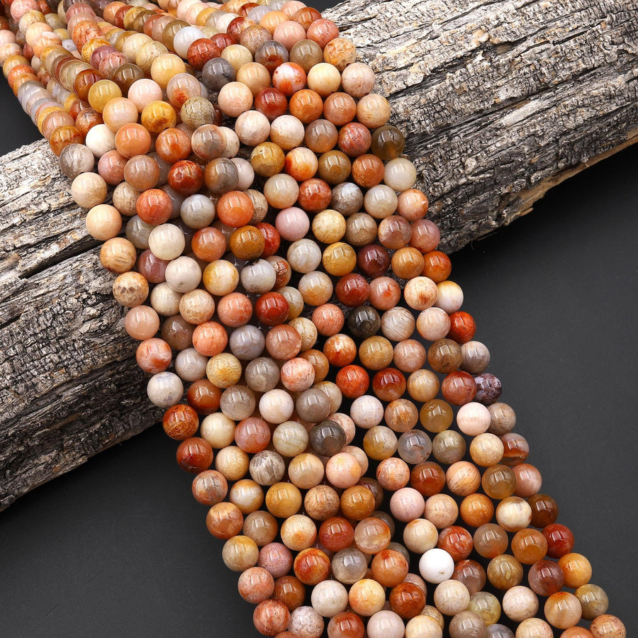 AAA Rare Agatized Natural Fossil Coral Beads Smooth 8mm Round Gemstone 15.5" Strand