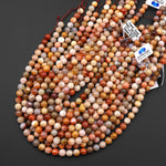 AAA Rare Agatized Natural Fossil Coral Beads Smooth 8mm Round Gemstone 15.5" Strand