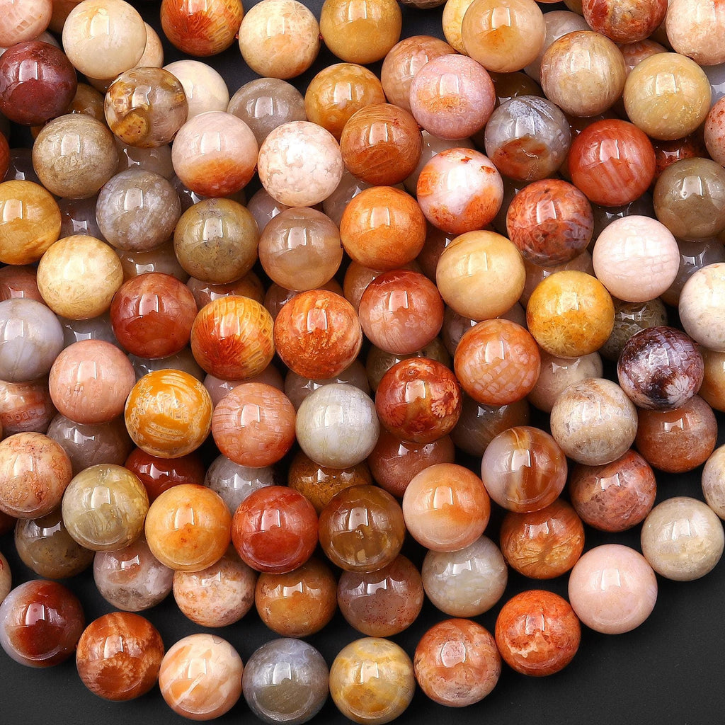 AAA Rare Agatized Natural Fossil Coral Beads Smooth 8mm Round Gemstone 15.5" Strand