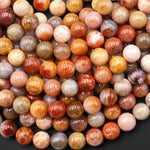 AAA Rare Agatized Natural Fossil Coral Beads Smooth 8mm Round Gemstone 15.5" Strand