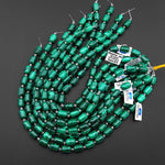 AAA Natural Green Malachite Smooth Cylinder Tube Beads 10x14mm 15.5" Strand