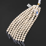 AAA Large Hole Beads 2mm 3mm Drill Natural Fossil Jasper Aka Riverstone 6mm 8mm 10mm Round Beads 8" Strand