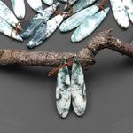 Natural Green Tree Agate Earring Pair Drilled Teardrop Cabochon Cab Pair Matched Gemstone Beads