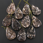 Hand Made Natural Turritella Agate Teardrop Pendant Real Fossil from Wyoming USA