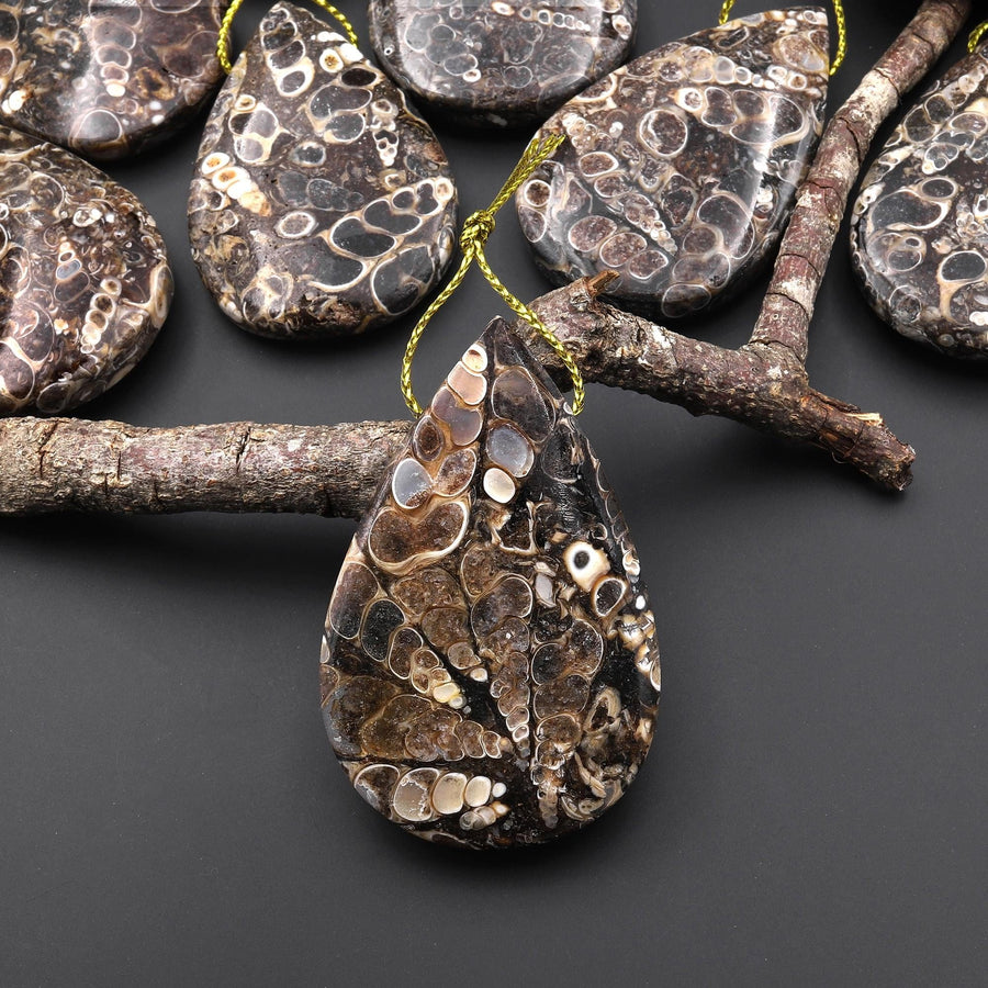 Hand Made Natural Turritella Agate Teardrop Pendant Real Fossil from Wyoming USA A1