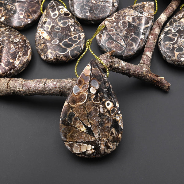 Hand Made Natural Turritella Agate Teardrop Pendant Real Fossil from Wyoming USA A1