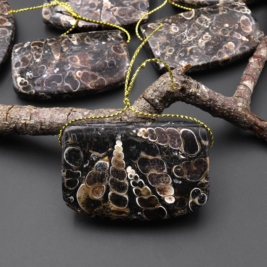 Hand Made Natural Turritella Agate Long Rectangle Saddle Pendant Real Fossil from Wyoming USA