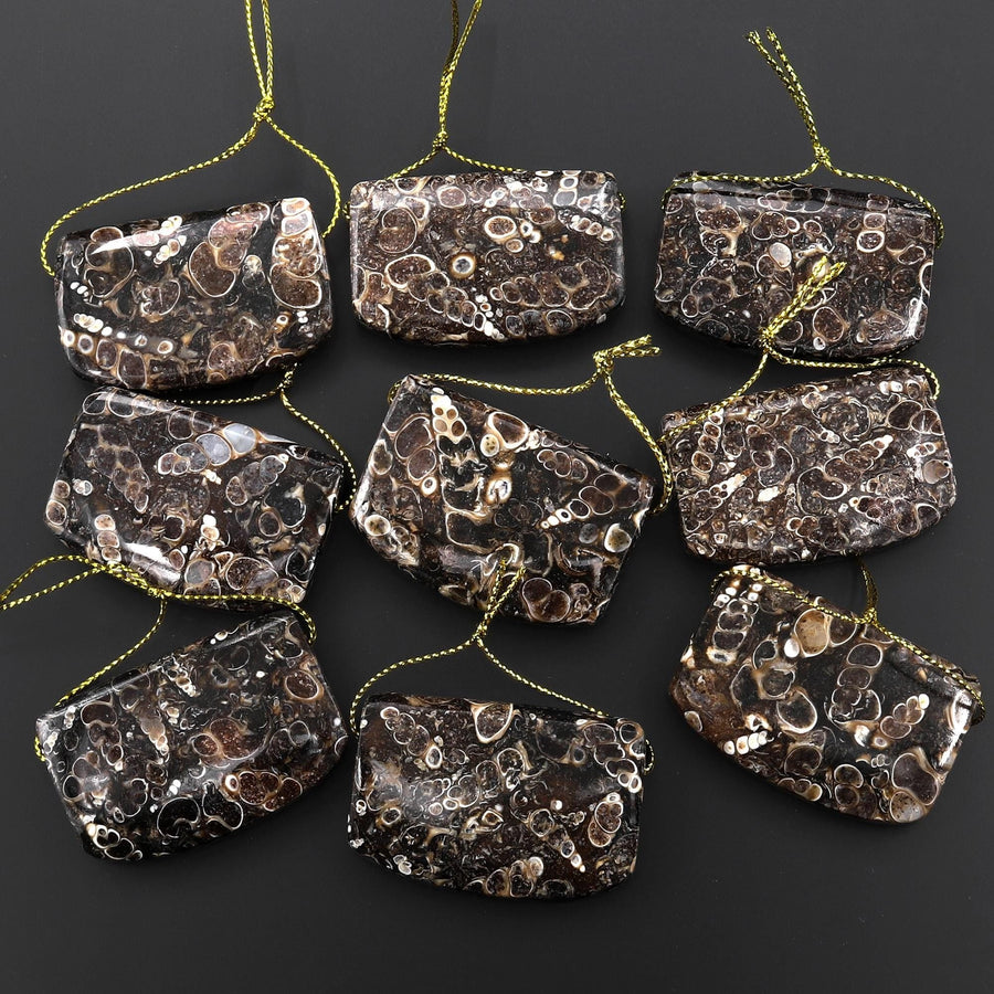 Hand Made Natural Turritella Agate Long Rectangle Saddle Pendant Real Fossil from Wyoming USA