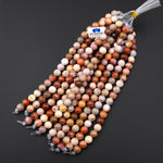 AAA Large Hole Beads 3mm Drill Natural Fossil Coral 10mm Round Beads 8" Strand