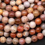 AAA Large Hole Beads 3mm Drill Natural Fossil Coral 10mm Round Beads 8" Strand