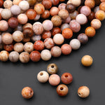 AAA Large Hole Beads 3mm Drill Natural Fossil Coral 10mm Round Beads 8" Strand