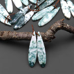 Natural Green Tree Agate Earring Pair Drilled Teardrop Cabochon Cab Pair Matched Gemstone Beads